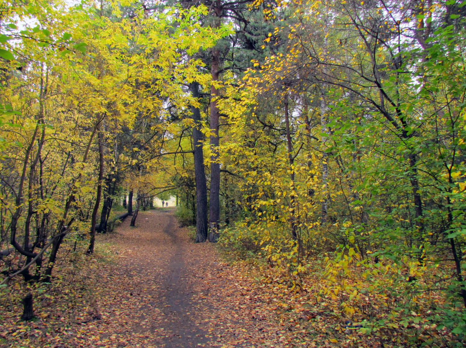 Прогулка