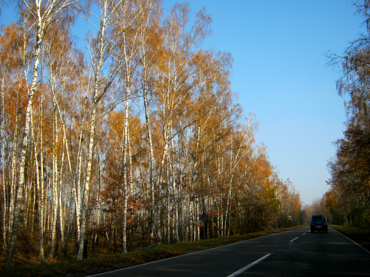 Осенняя дорога