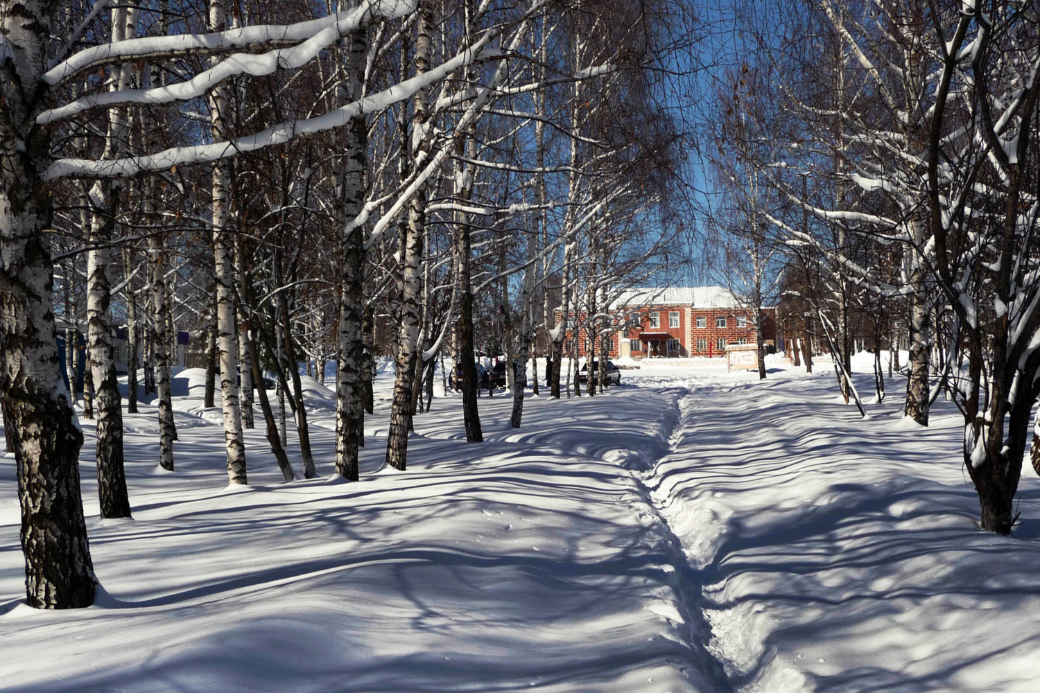 ...Вчера дорога здесь была