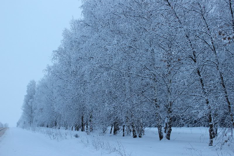 Утро морозное