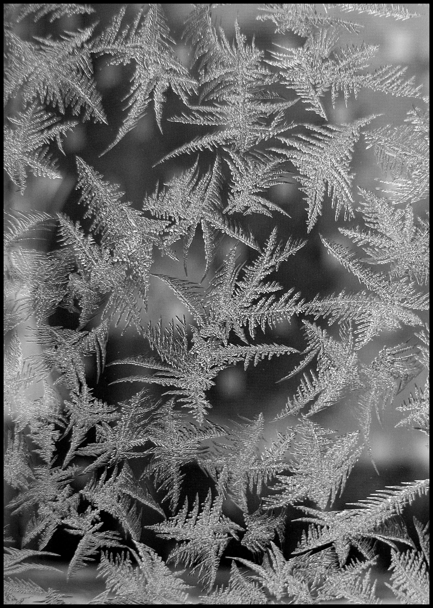 Frost flowers