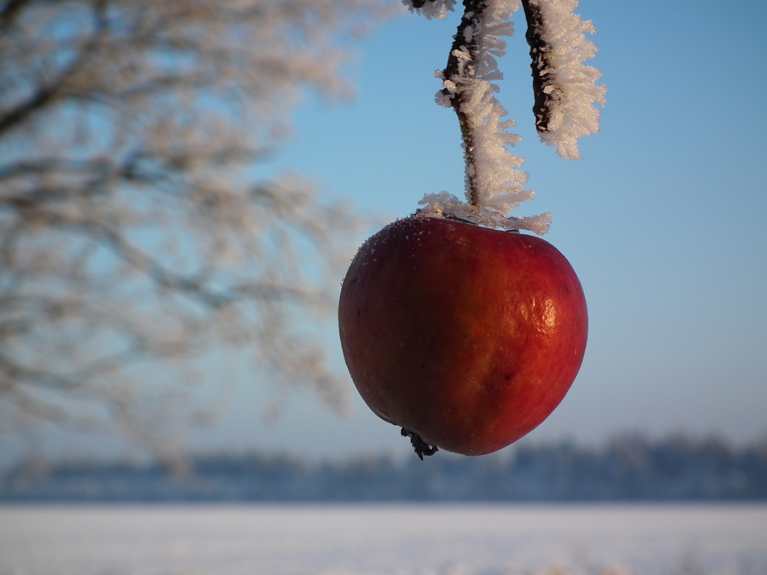 Waiting For a Spring