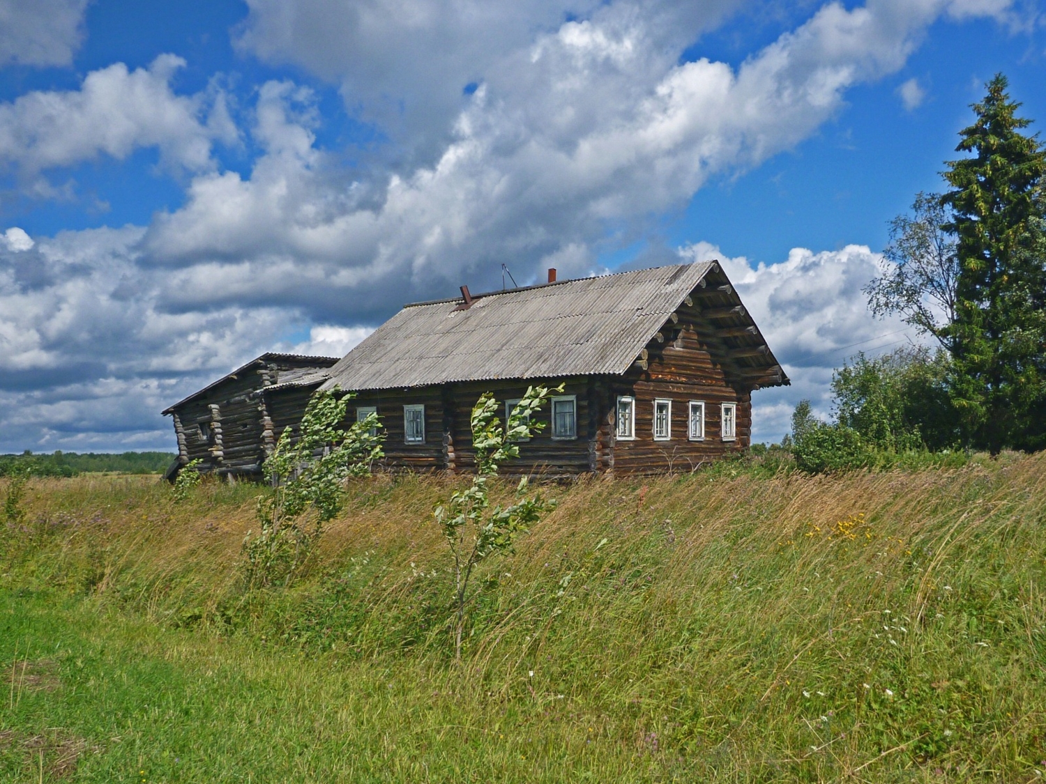 На семи ветрах