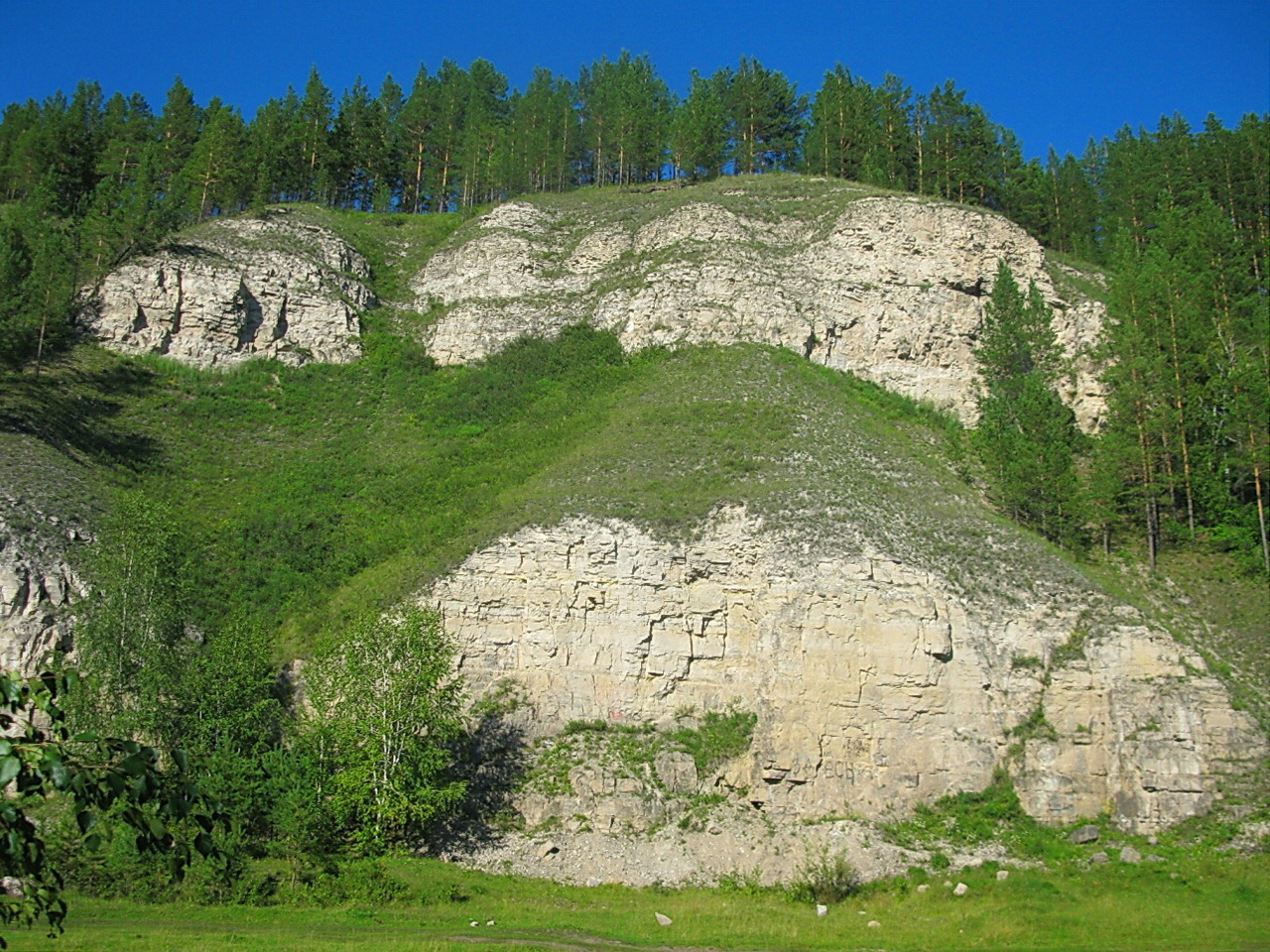 Вековая красота