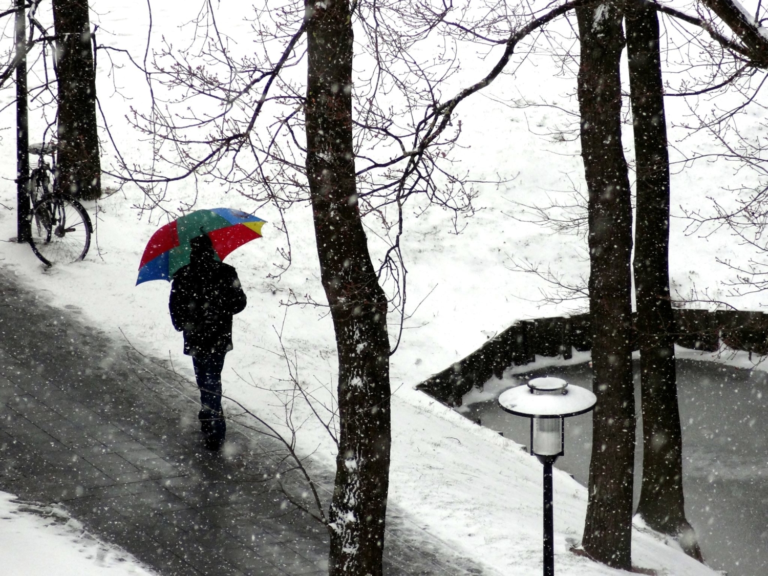 Оптимист против снегопада