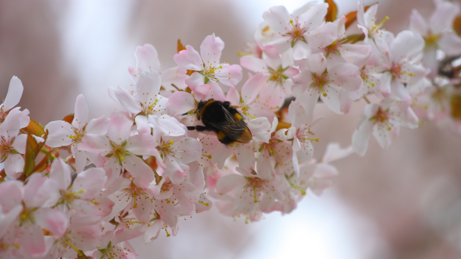 It's Finally Spring!