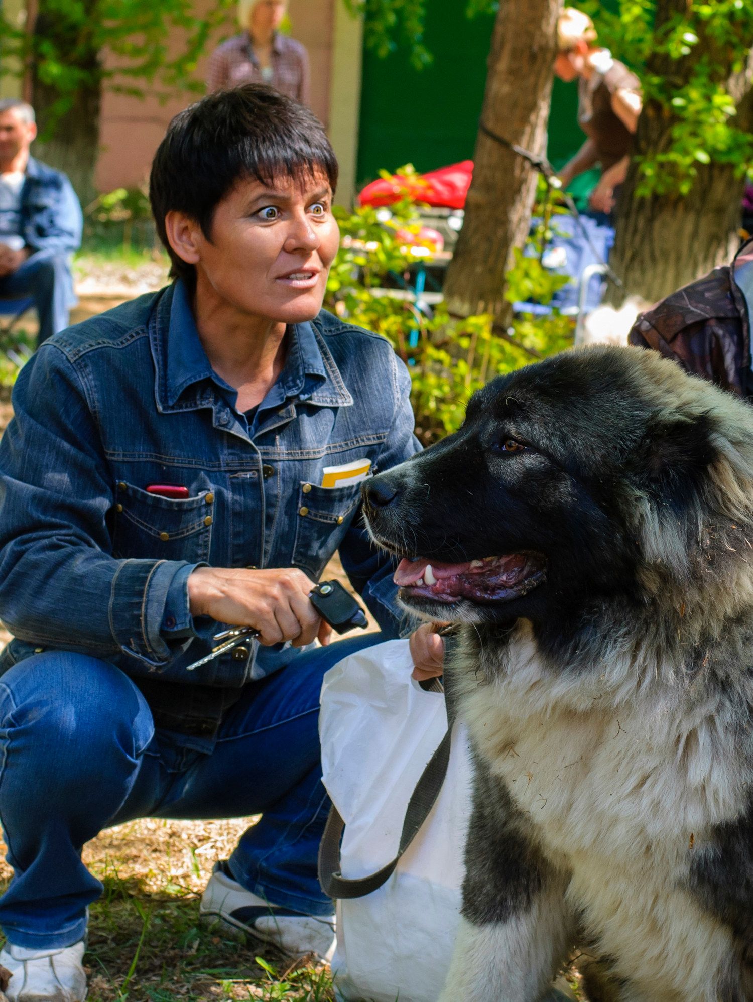 О сходстве хозяев и собак