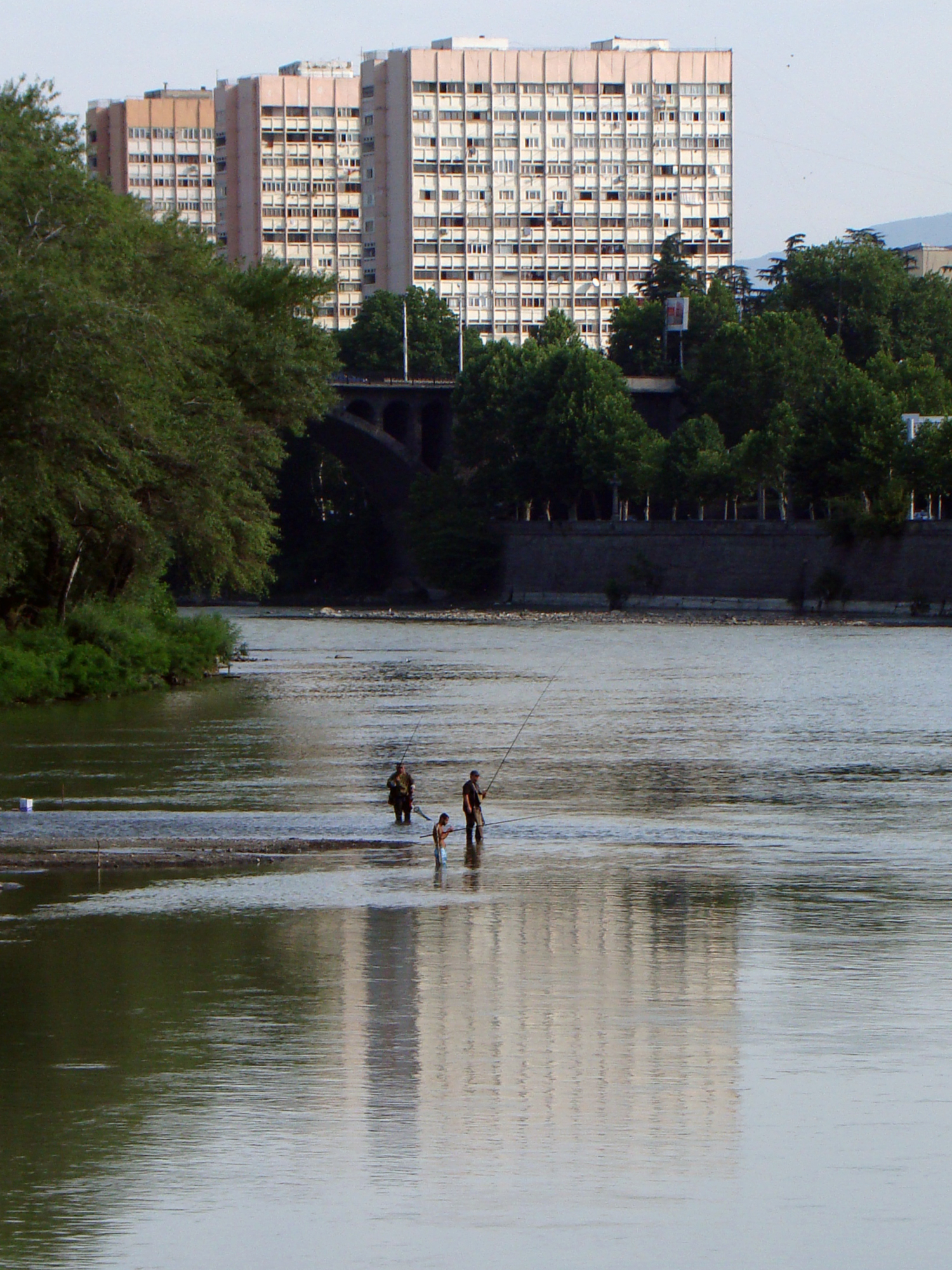 городская рыбалка