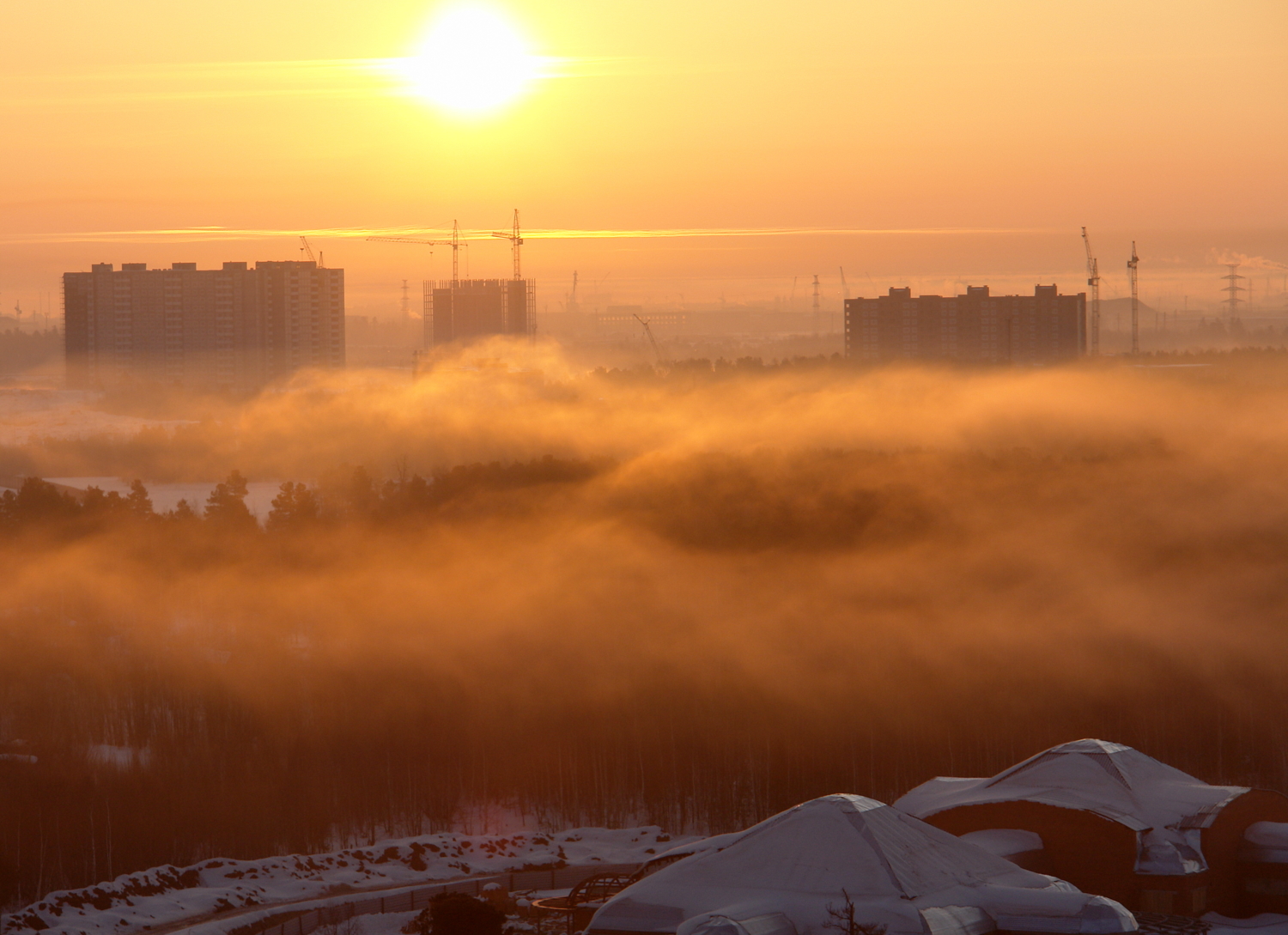 Туман над городским лесом