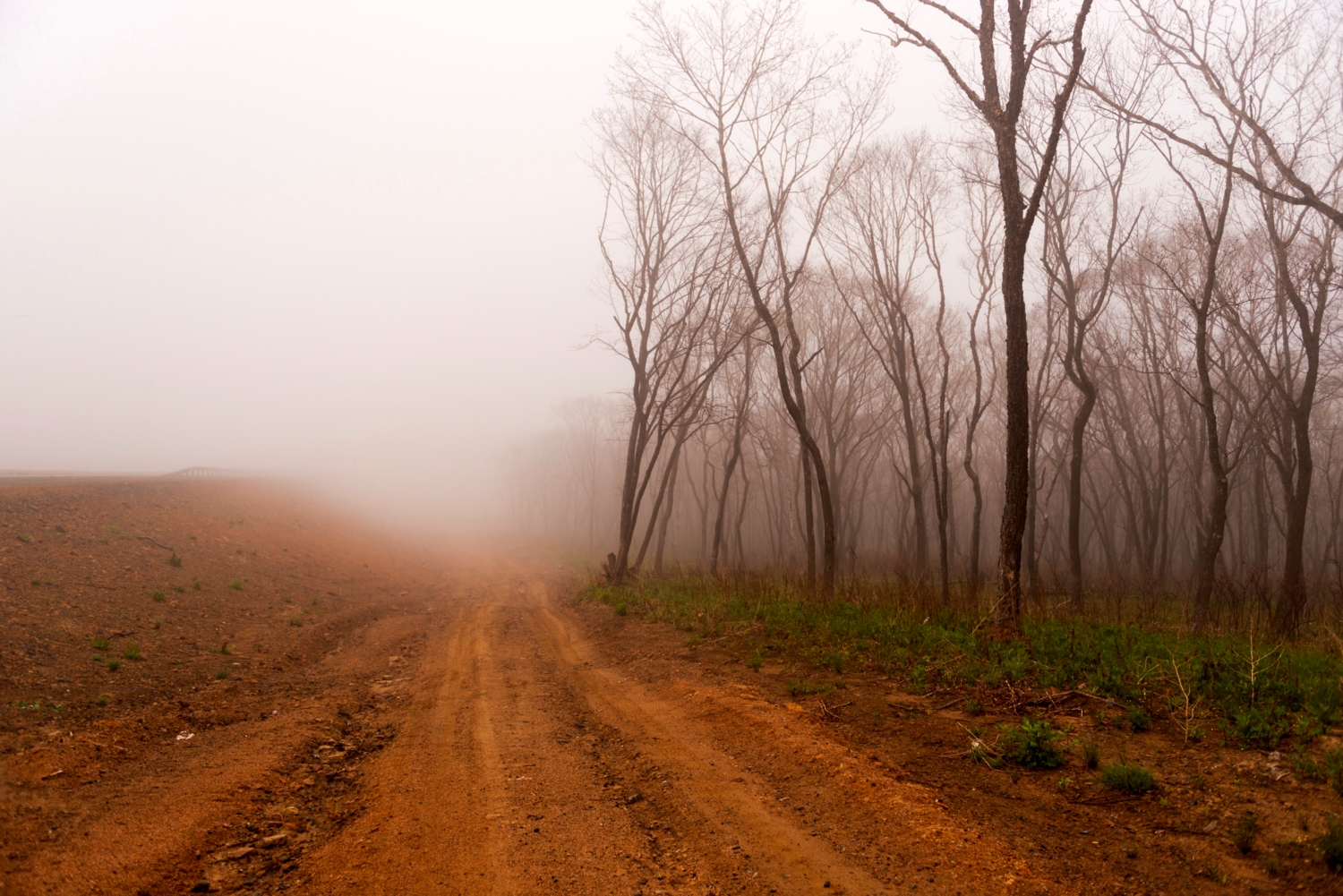 Дорога, уходящая в туман