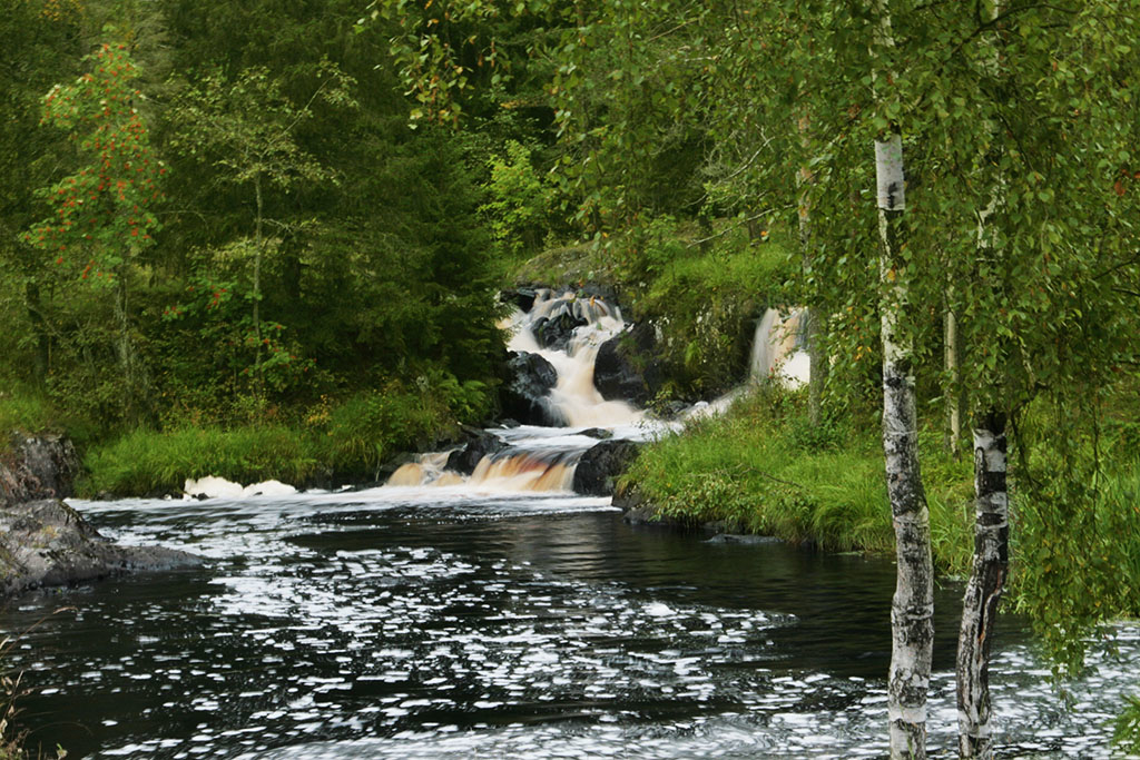 лесной водопад