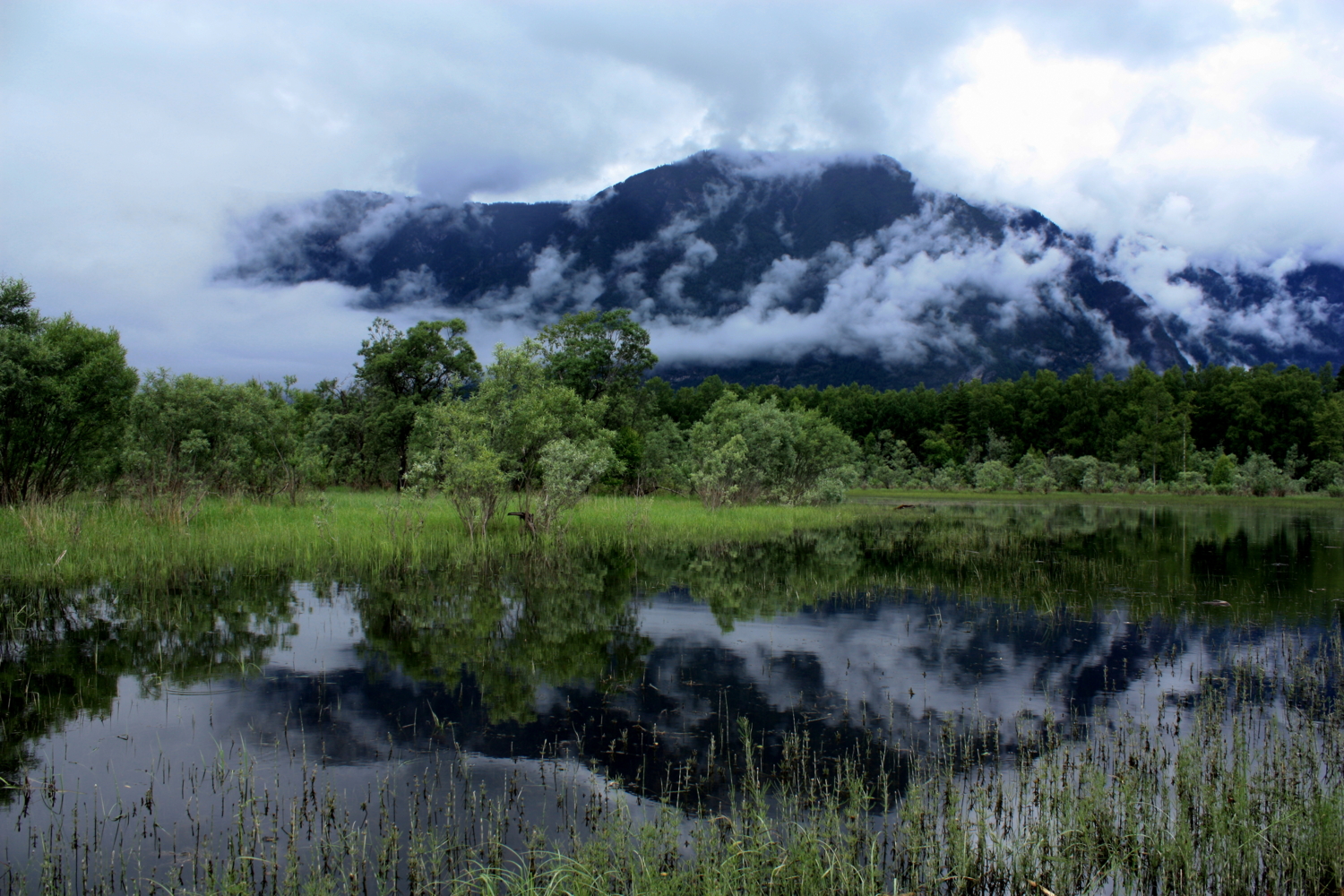 Туман в горах Алтая