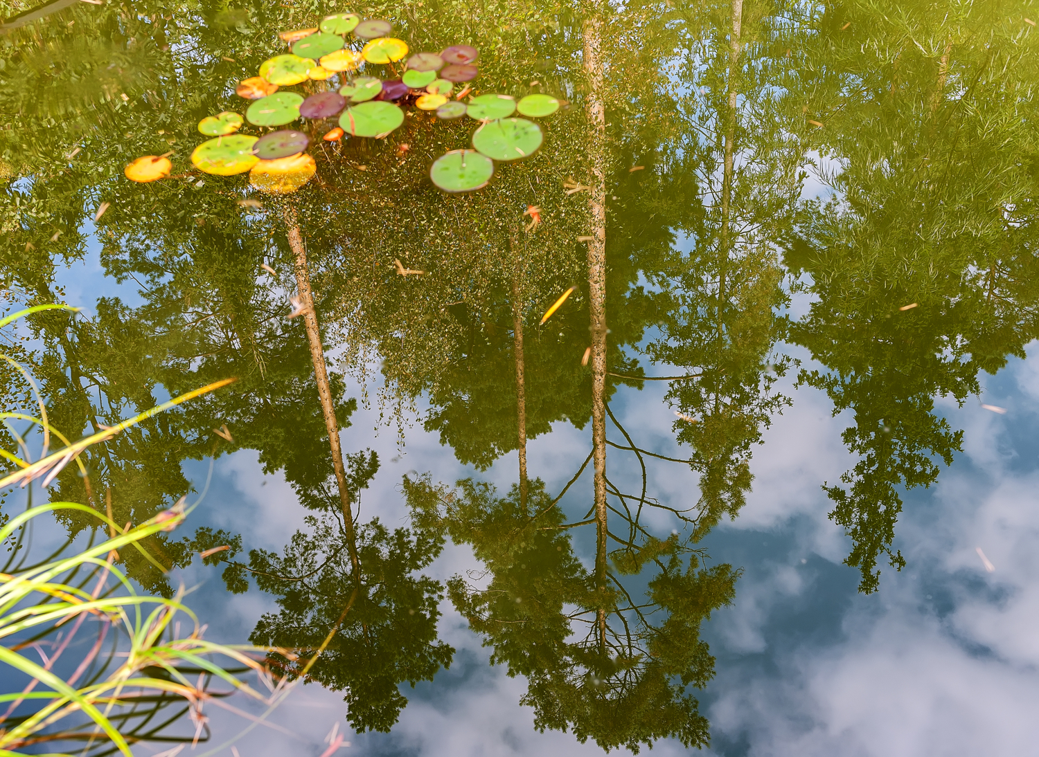 То ли в озеро небо упало...