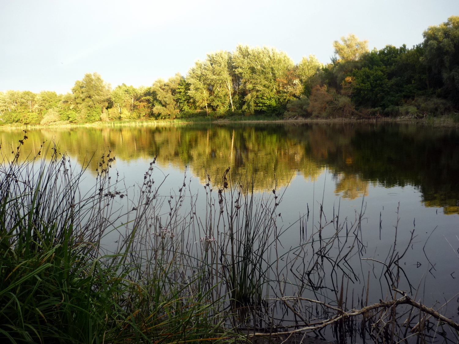 На том берегу