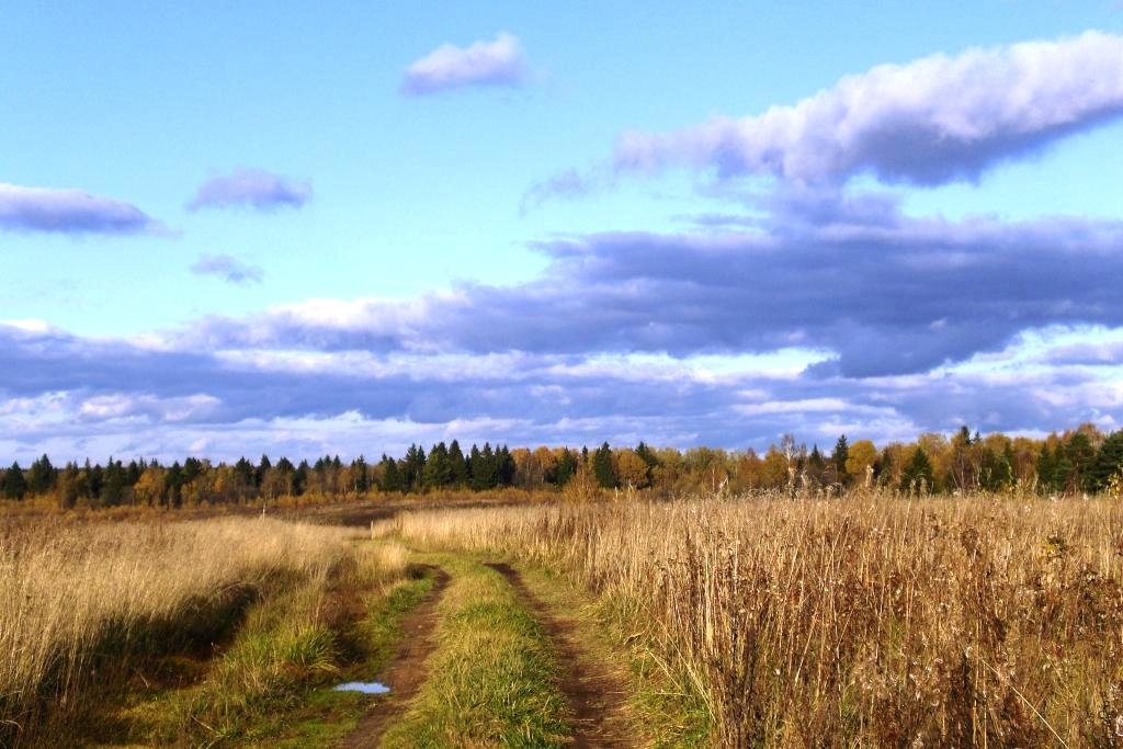 Осень золотая