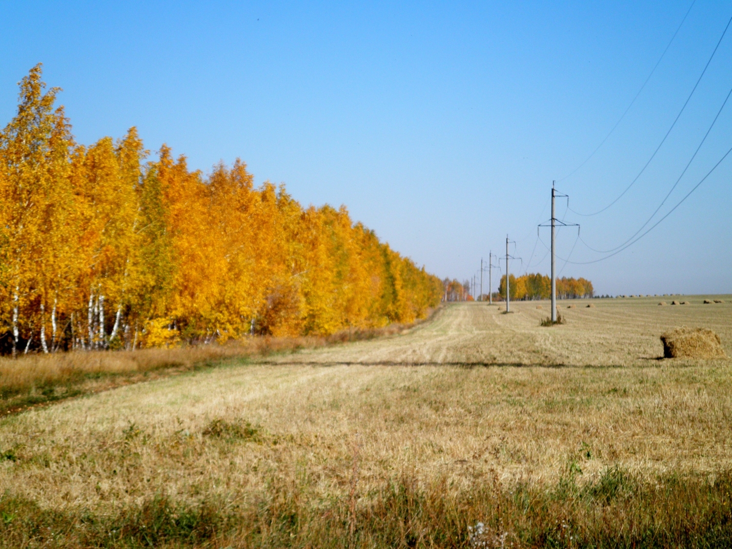 Осень.