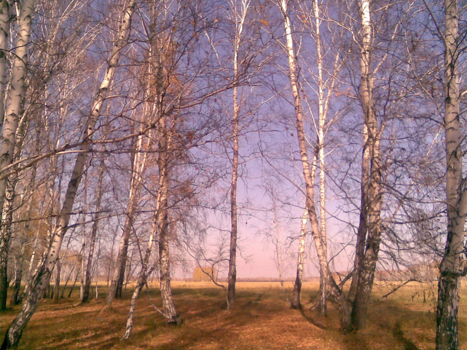 Сибирская осень