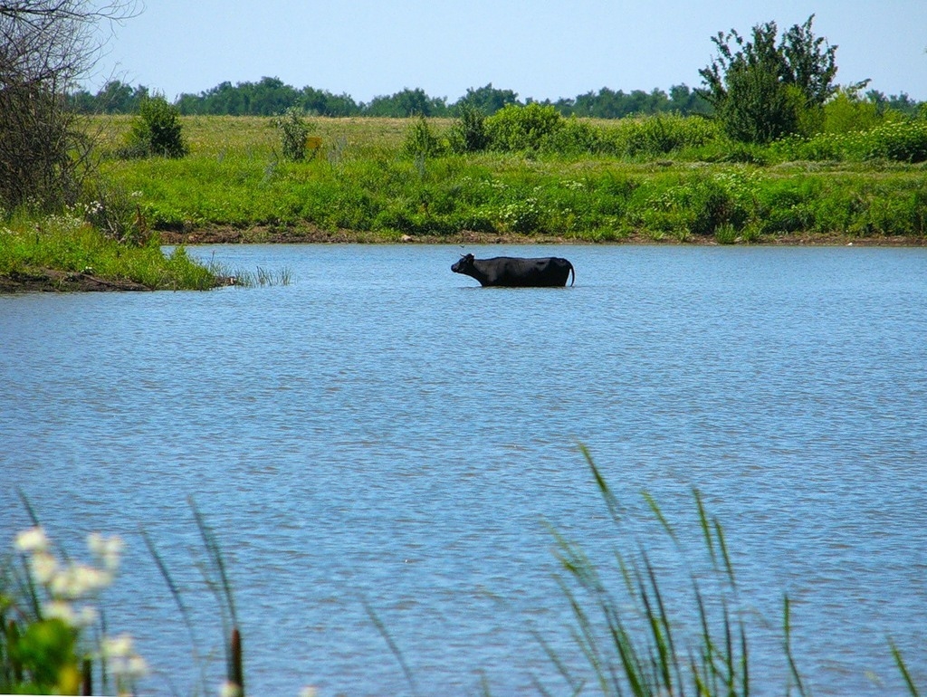 Водные процедуры