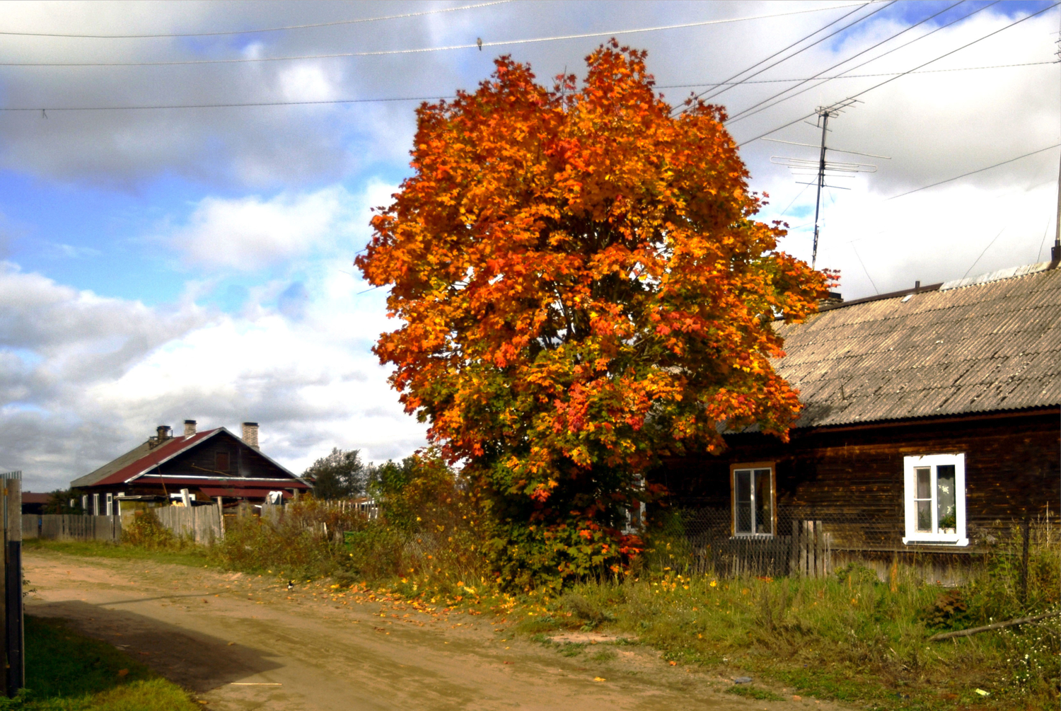 Сельская улочка