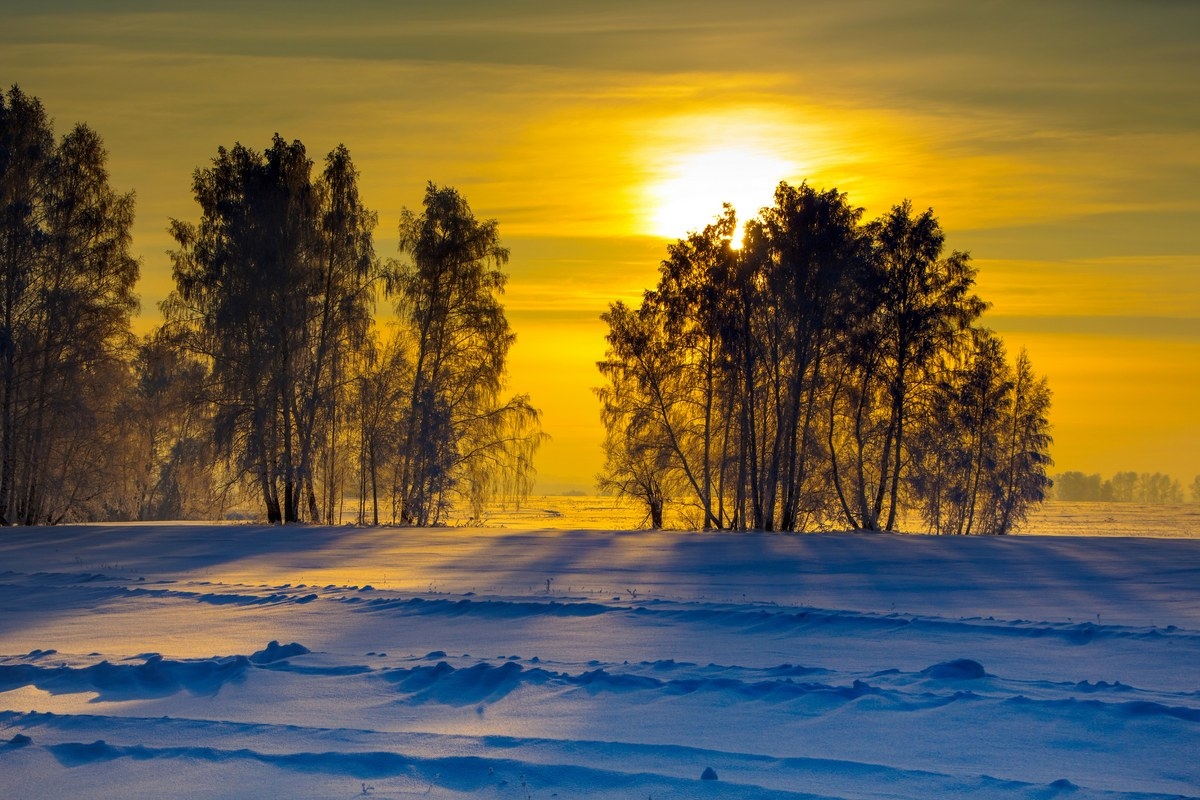 Солнце заходит зимой. Солнце зимой. Мороз и солнце. Мороз и солнце лес. Зимний лес в лучах заходящего солнца.