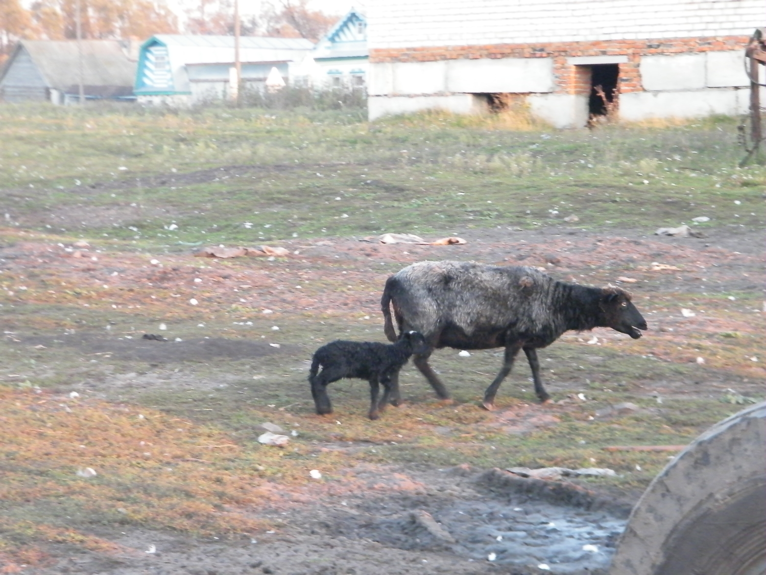 Не спеши, мама...