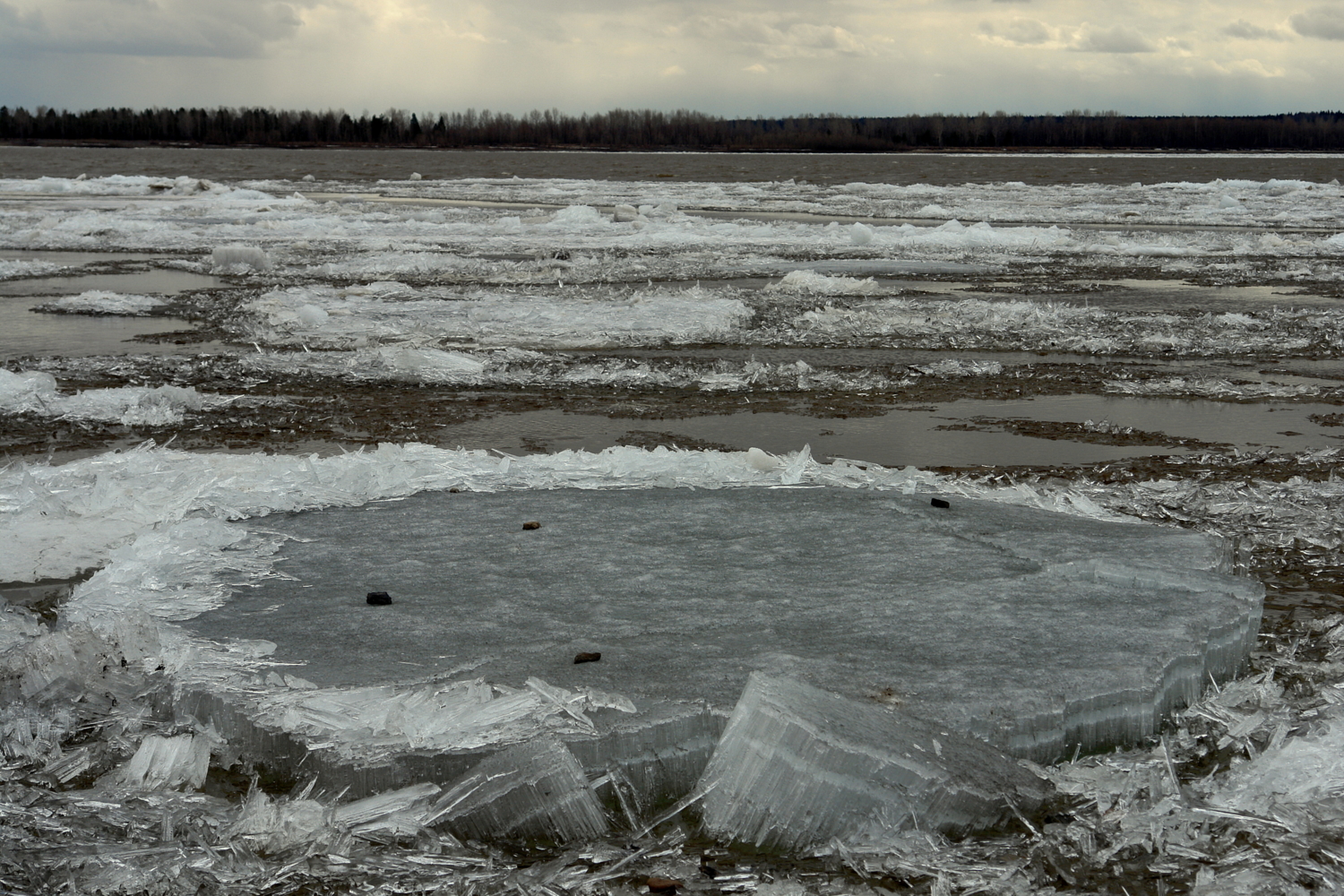 Лед идет лед идет вереницей длинной. Мана лед идет. Где сейчас идёт лёд три. Группа лёдъ фото. Лед сегодня на каком канале