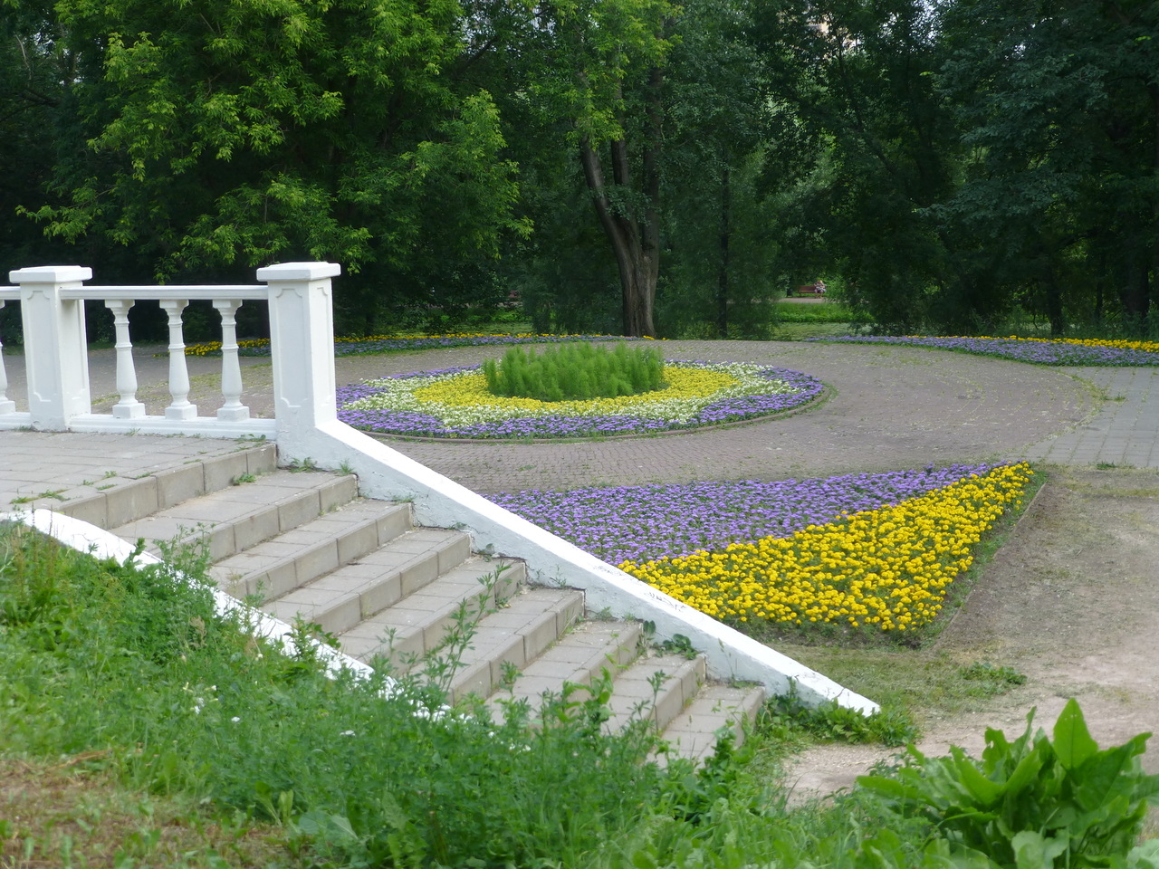 В старом парке