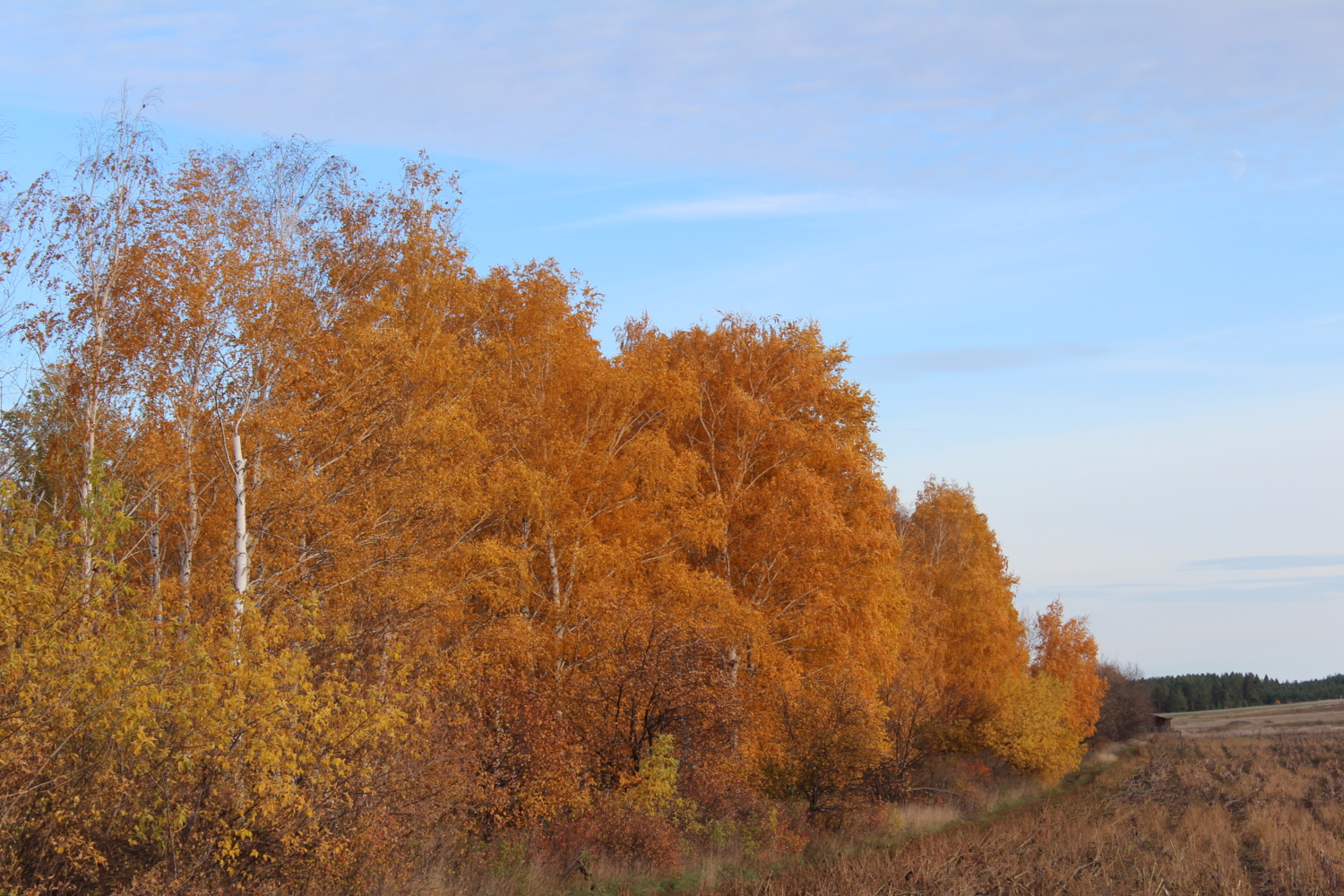 Осень