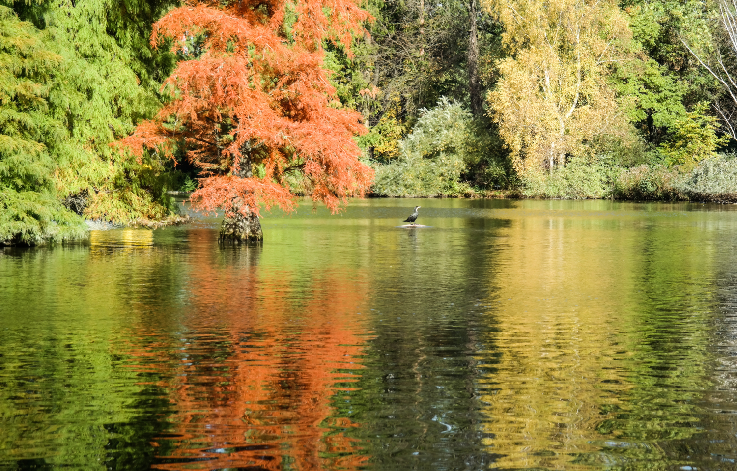 Краски осени