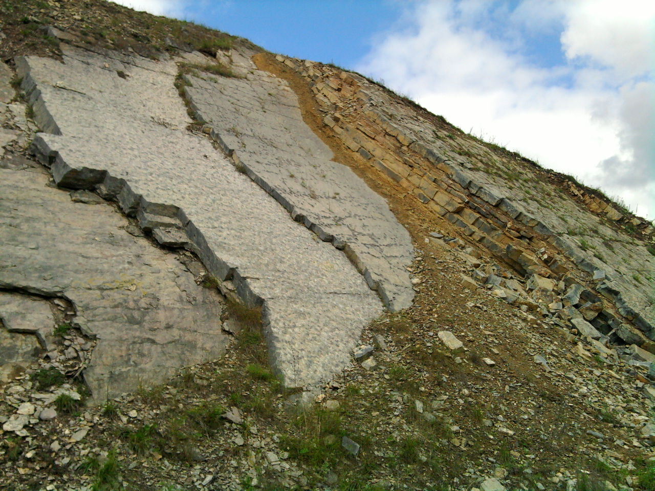 А за горами , лес да гора