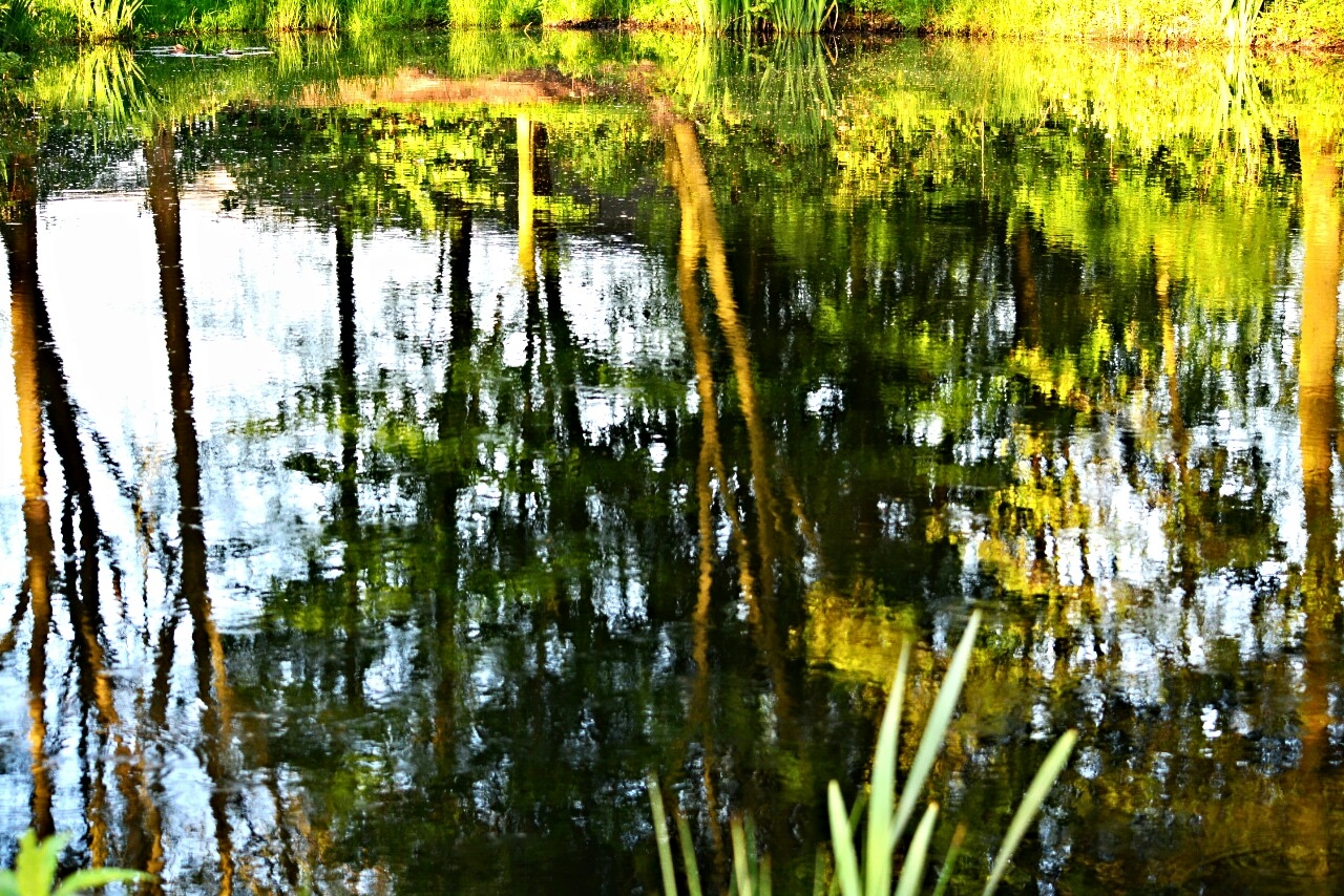 отражение...