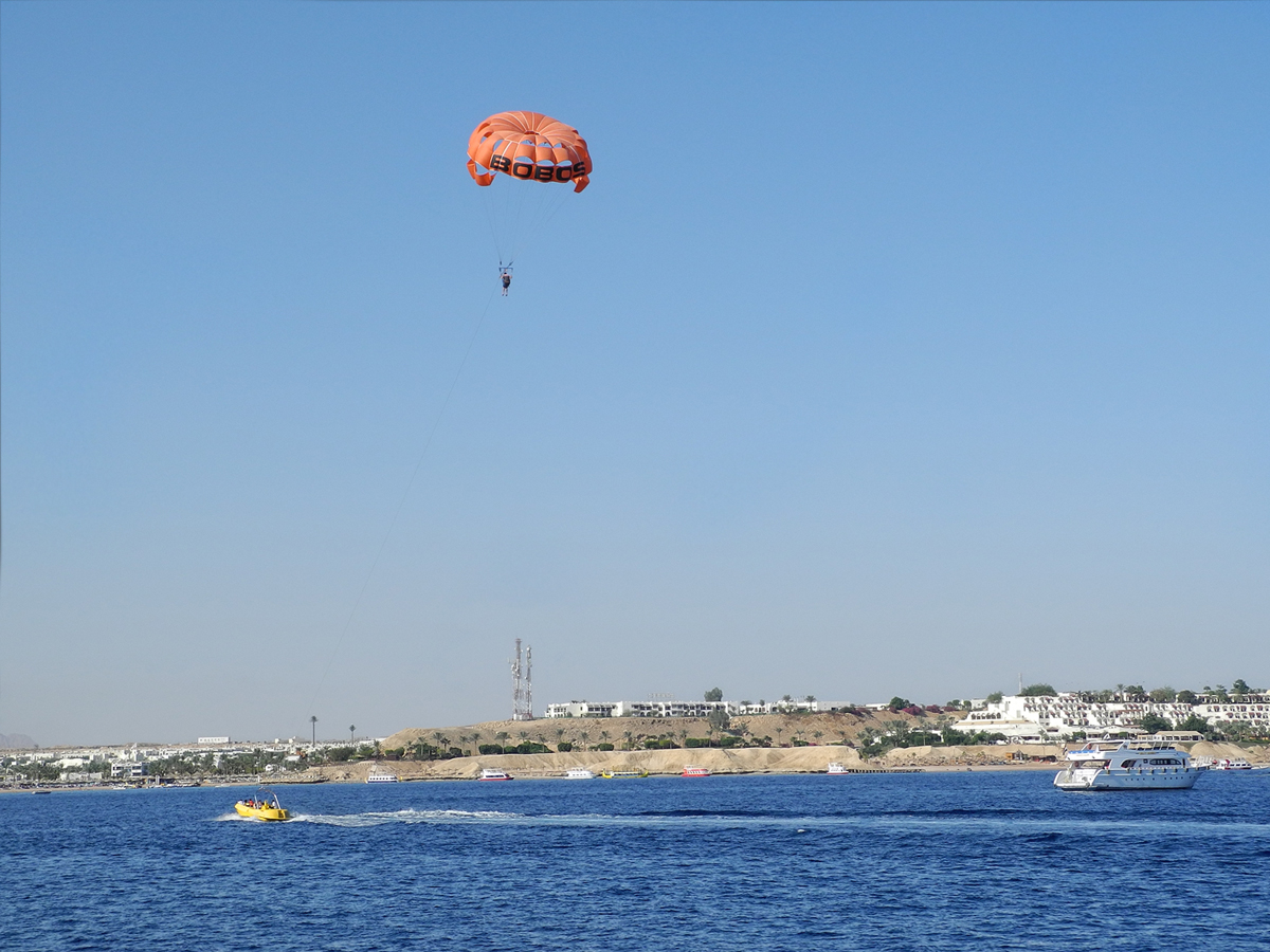 Паря над водами Красного моря