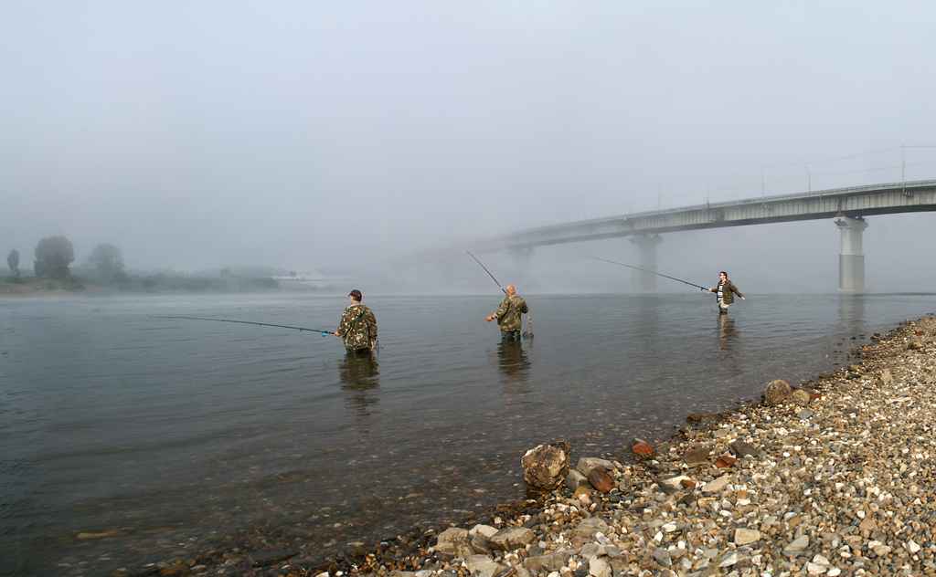 Туманные  перспективы  рыбалки.