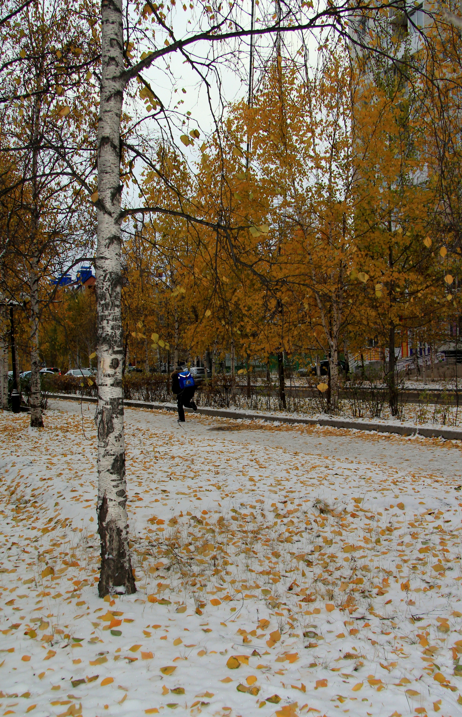 Не время ещё для снега...