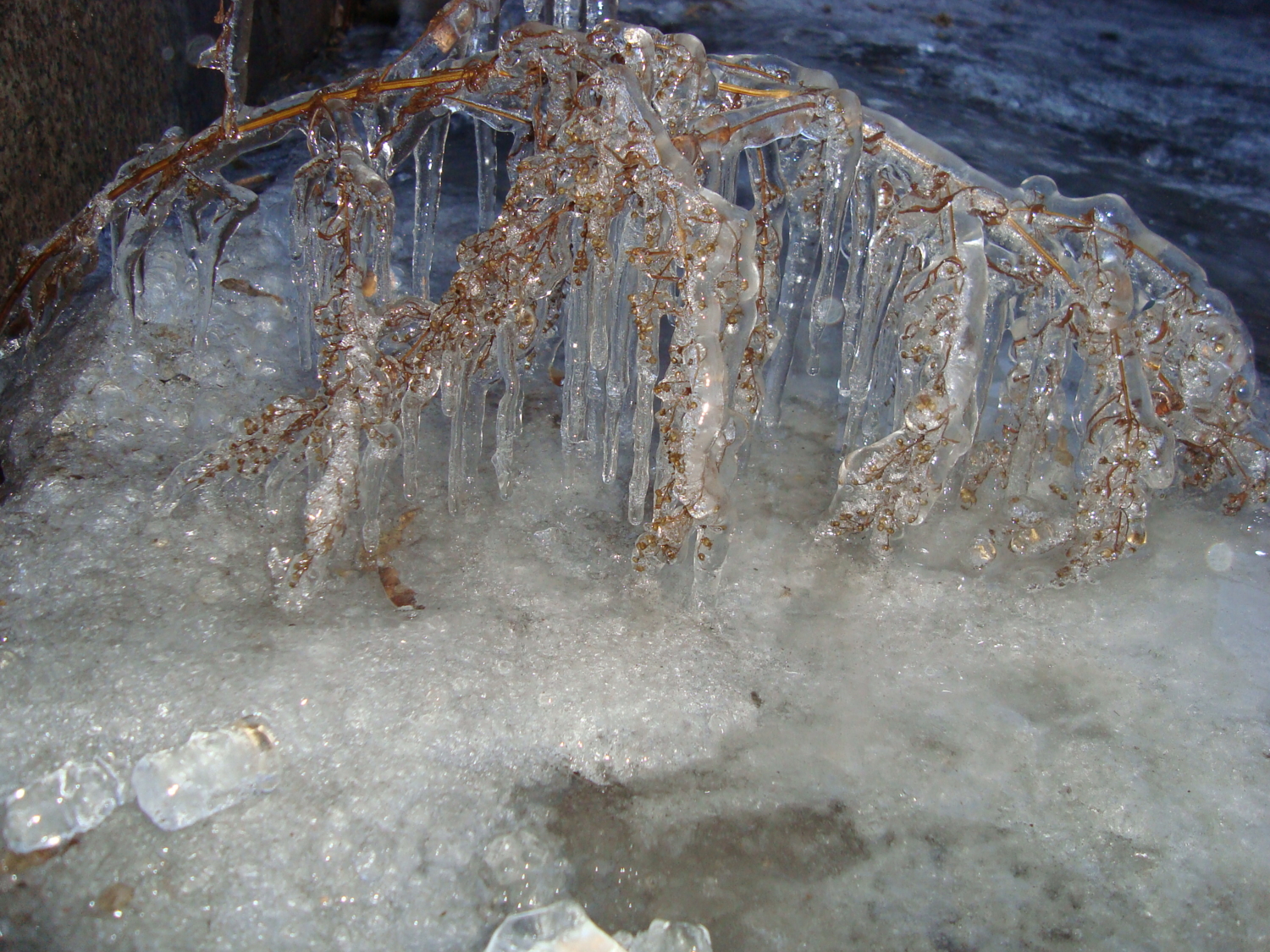 а вот и морозец)