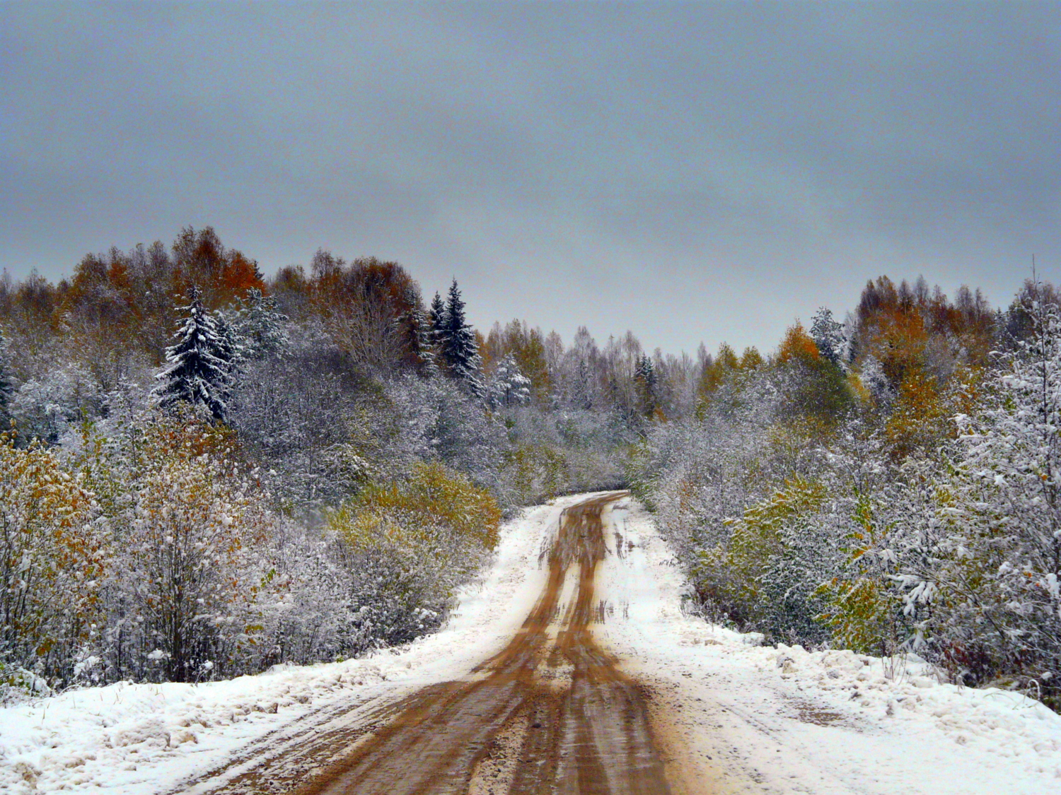 Дорога в зиму.