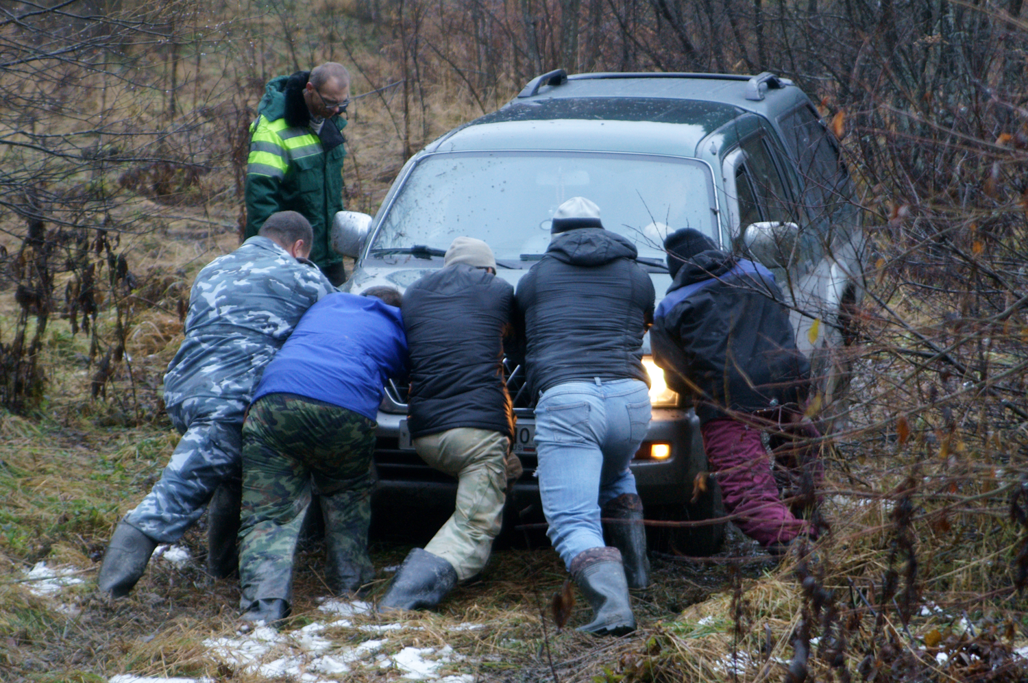 толкачи