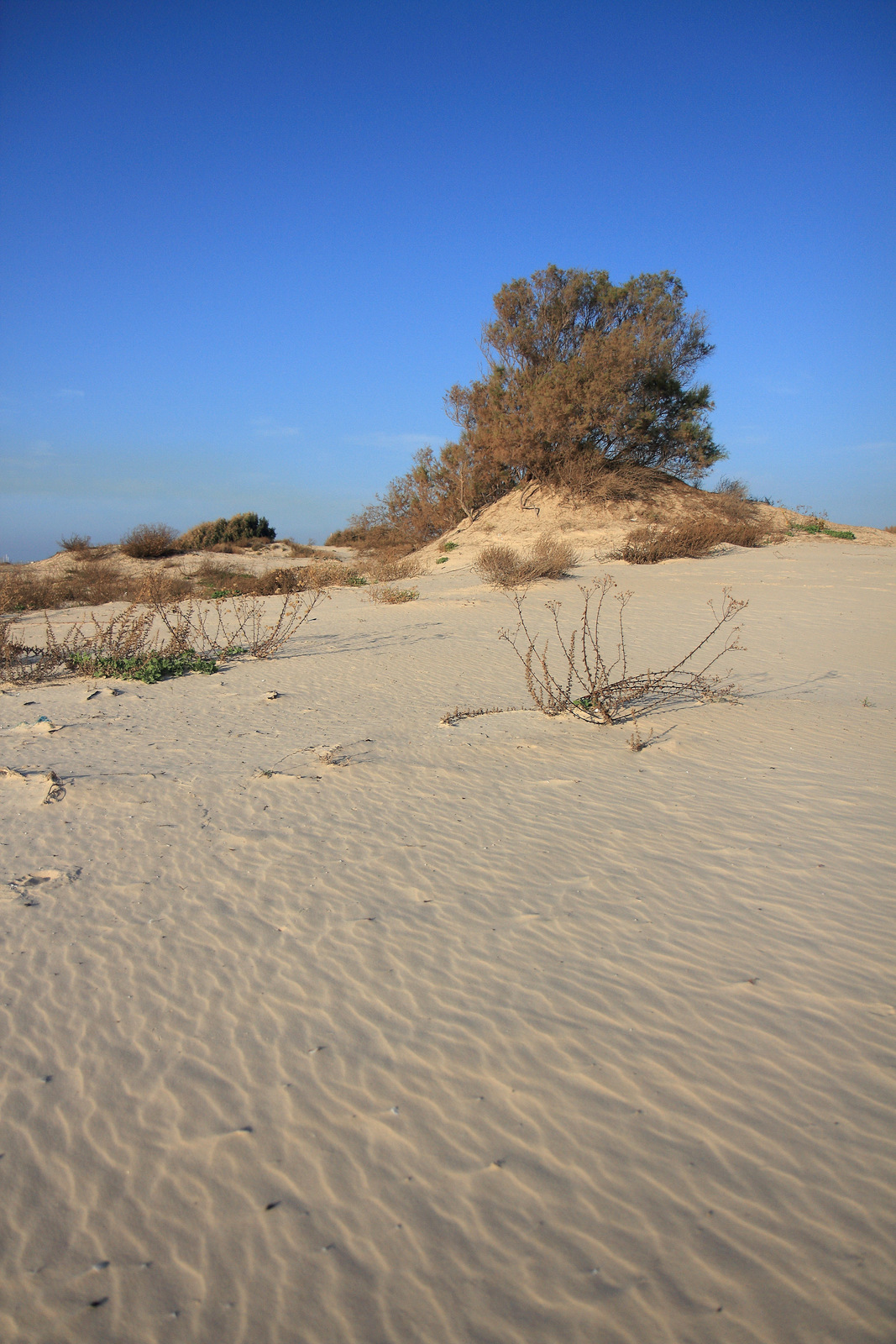 Песчанные дюны