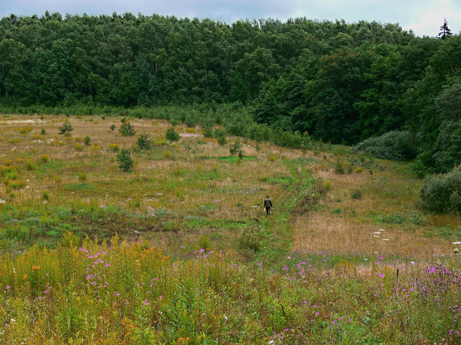 Человек-букашка.