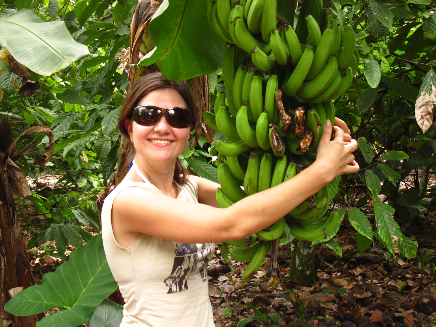 банановый рай