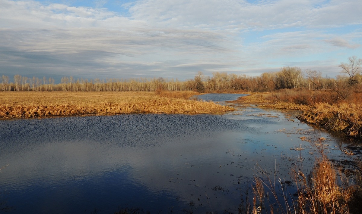 осенняя дрожь