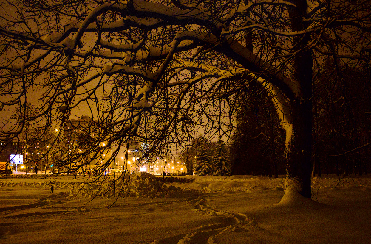 Зимний вечер в парке городском