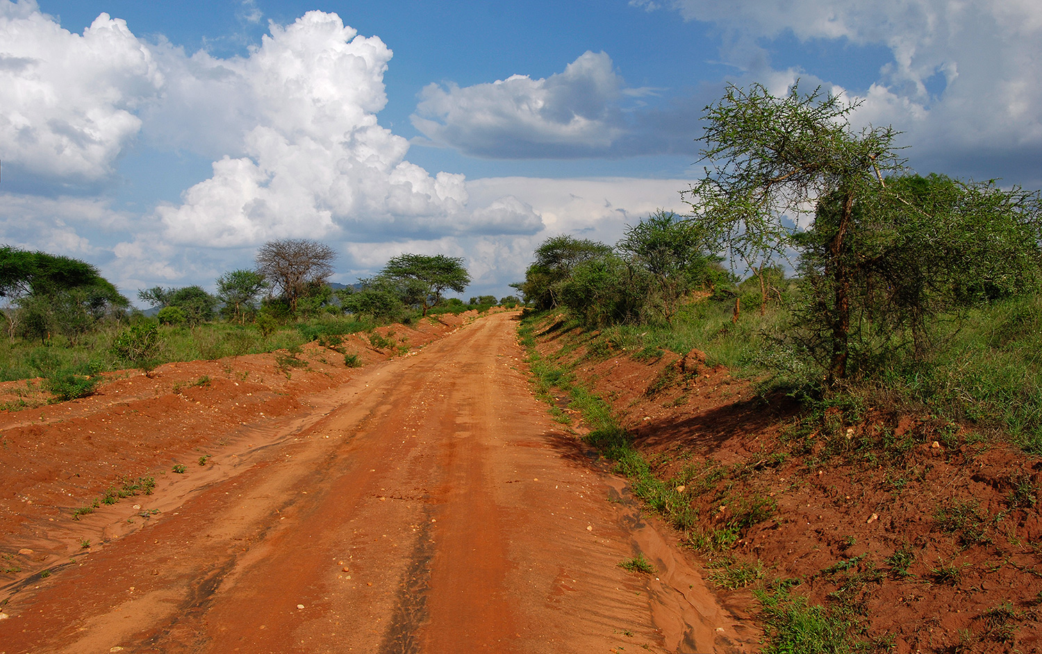 африканскими дорогами...