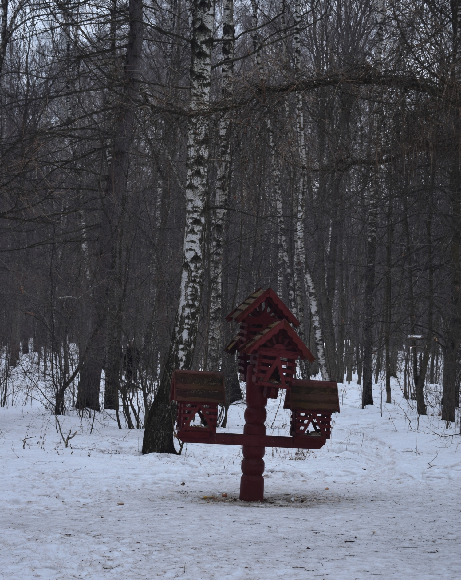 Кормушки - домики