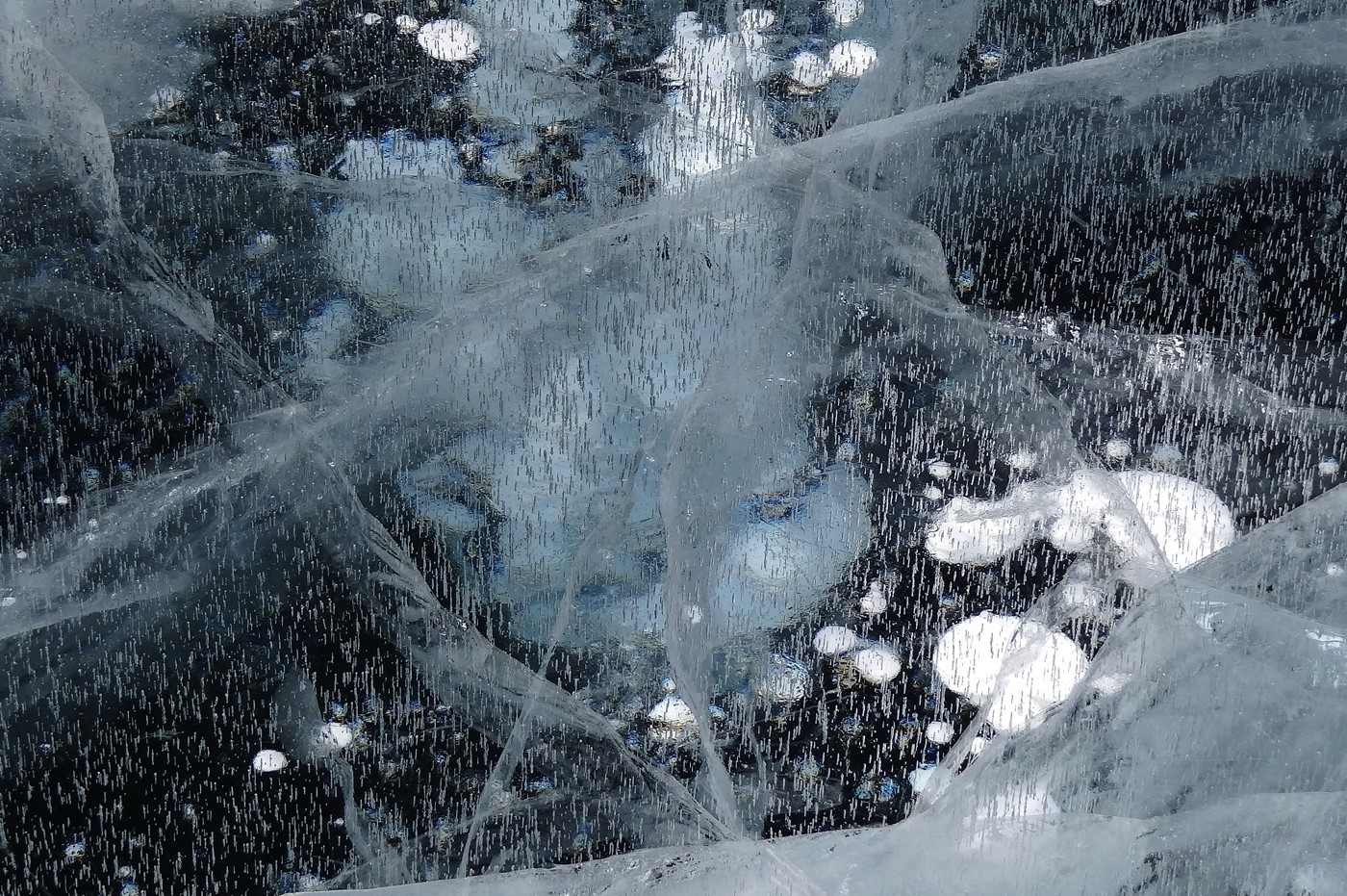 застывшие во льду