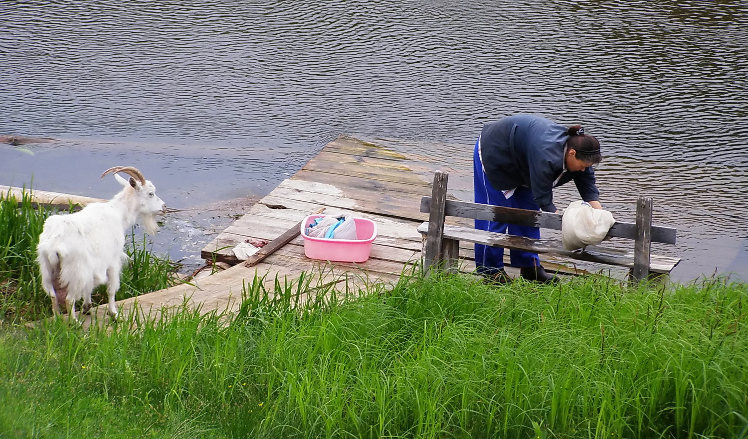 " - И посидеть-то ей некогда"