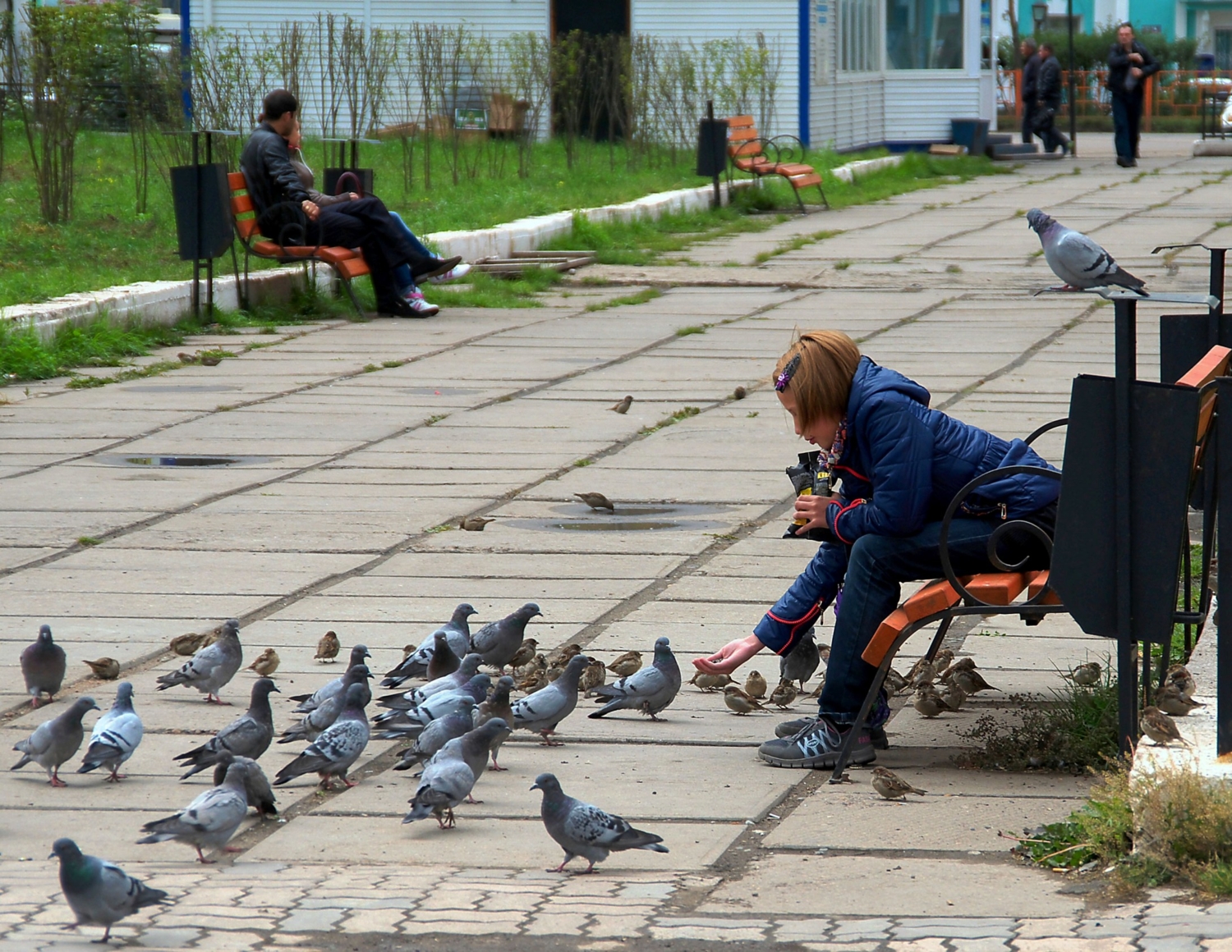 Птичница.