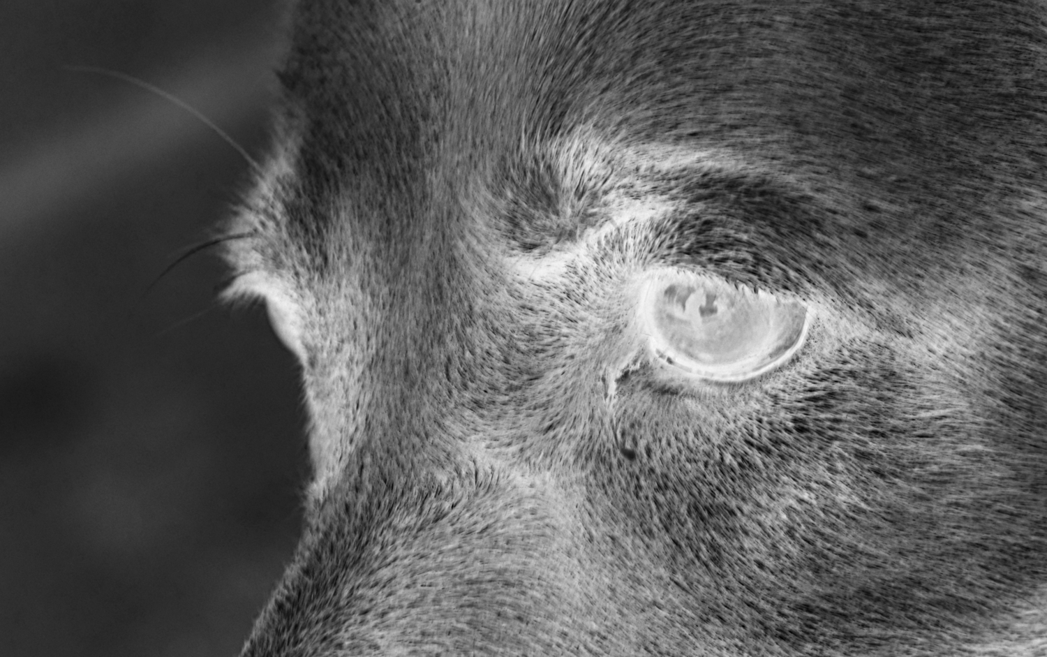 В другом мире