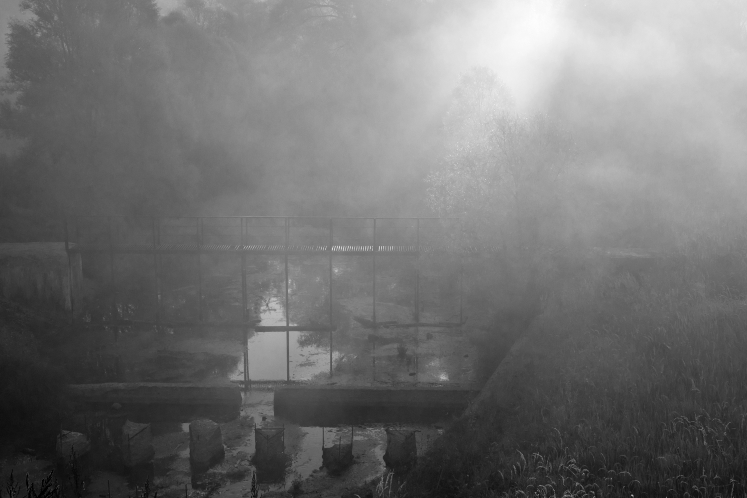 Мост в лучах и тумане