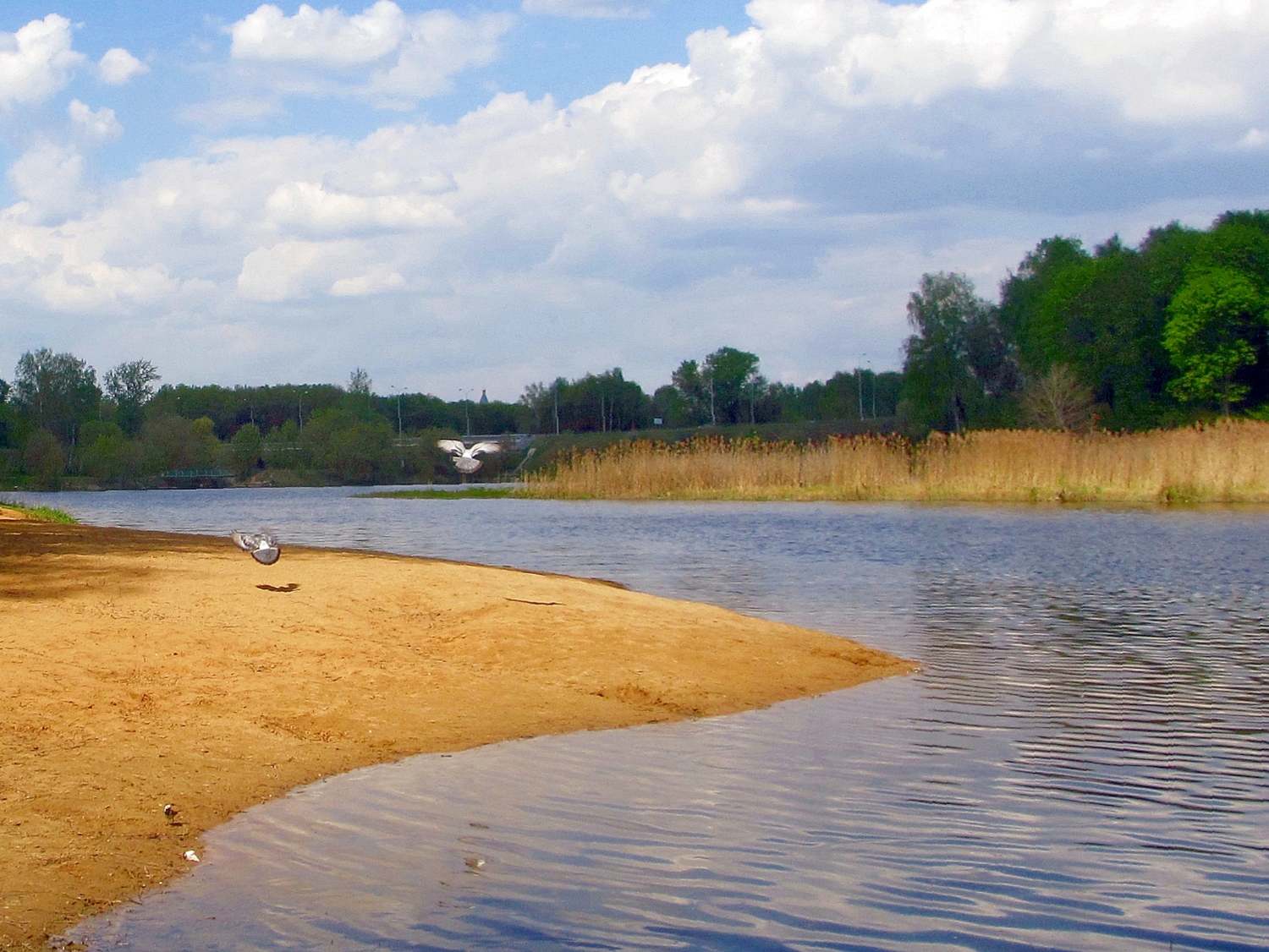 прилетали водицы напиться